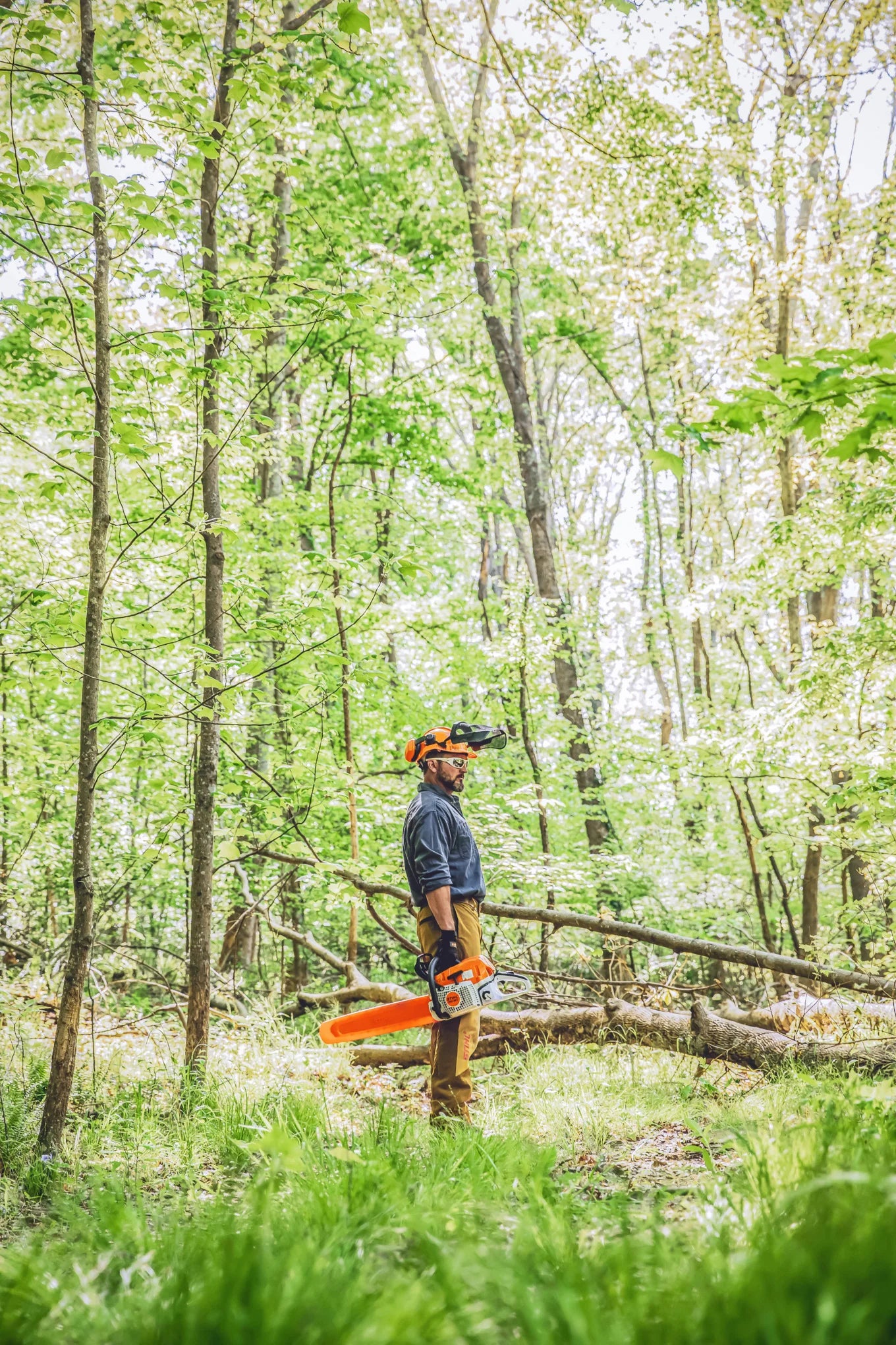 MS 391 Gasoline Chainsaw