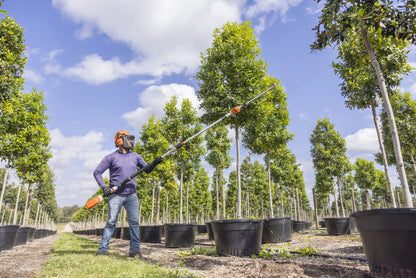 HLA 86 Battery Powered extended-reach Hedge Trimmer