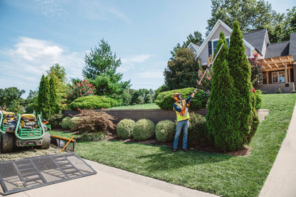 HLA 135 Battery Powered Extended-Reach Hedge Trimmer