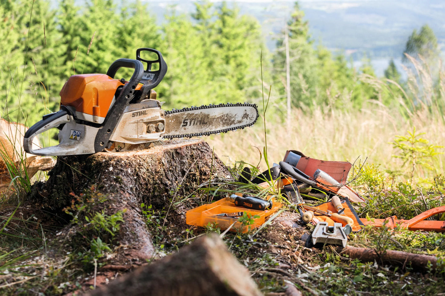 MS 362 Gasoline Chainsaw
