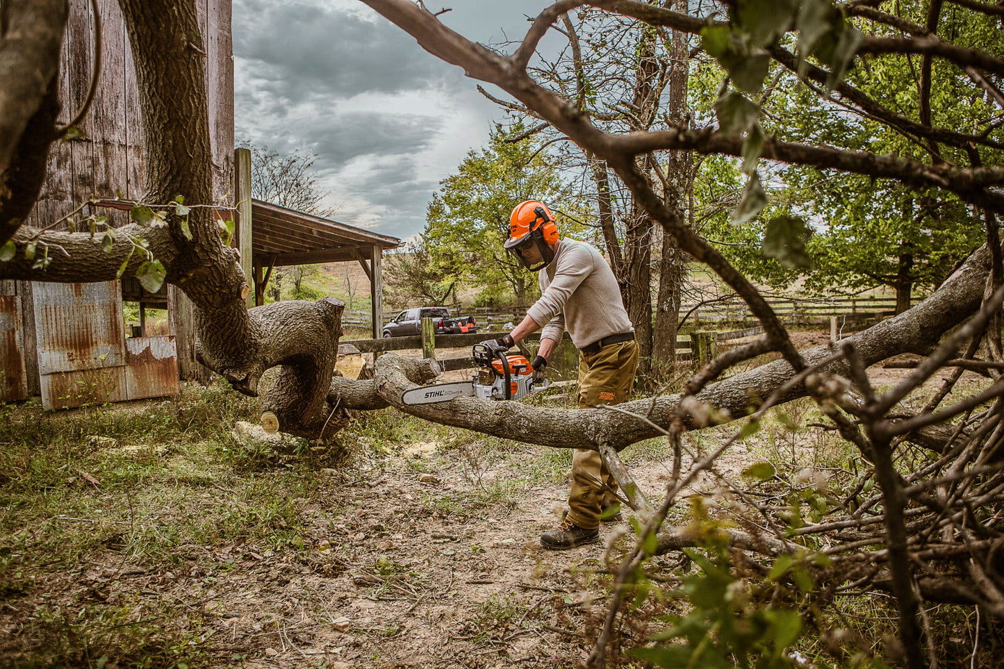 MS 261 Gasoline Chainsaw