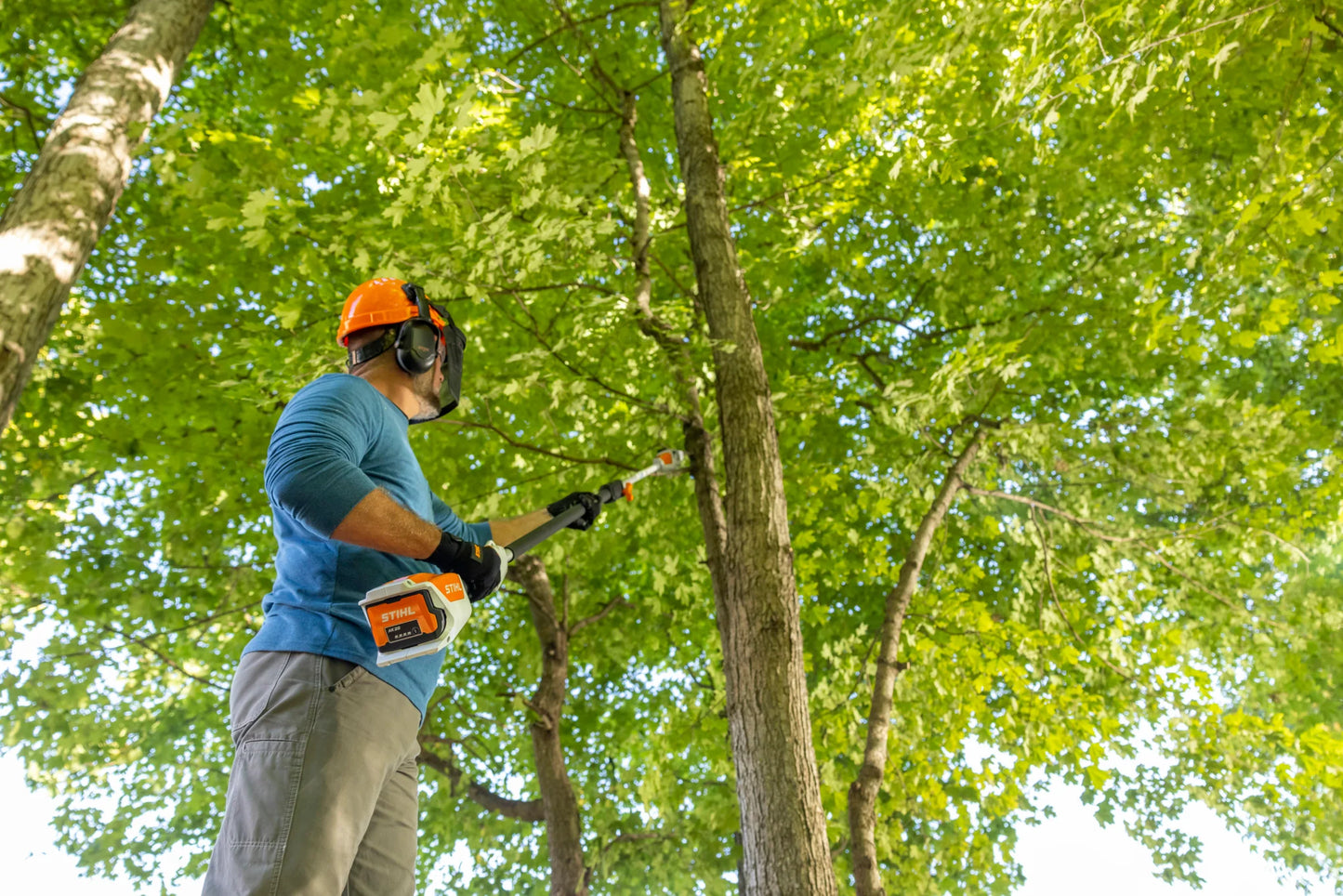 HTA 50 Battery Powered Pole Pruner