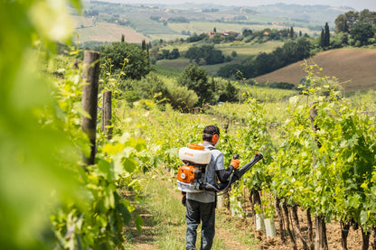 SR 200 Gasoline Backpack Sprayer